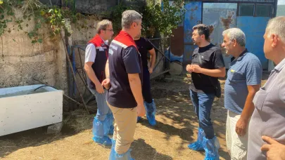 Sinop’ta hayvan sağlığı çalışmaları yerinde denetlendi