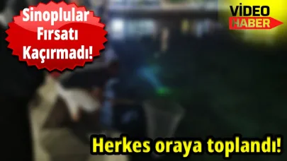 Sinop sahilinde yaşanan olay, vatandaşların ilgisini çekti