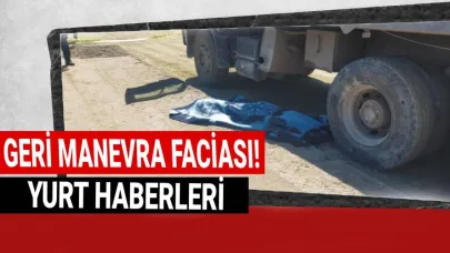 Geri manevra yapan kamyon can aldı!