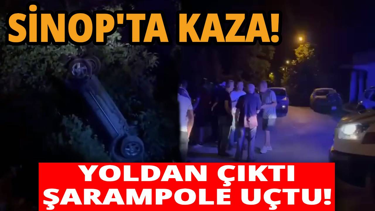 Sinop'ta kontrolden çıkan araç şarampole uçtu