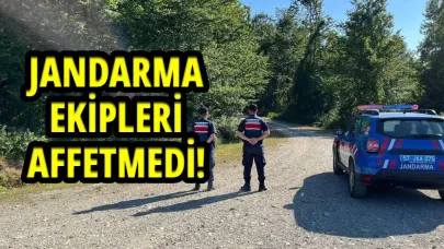 Sinop'ta ormanlık alanda ateş yakanlara ceza yağdı!