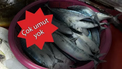 Sezon pek de iyi başlamadı