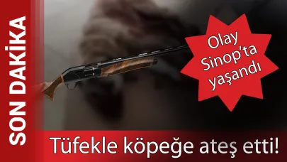 Köpek kavgası kanlı bitti