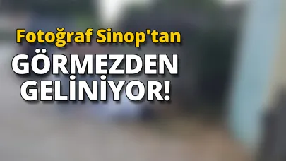 Bir zahmet el atın