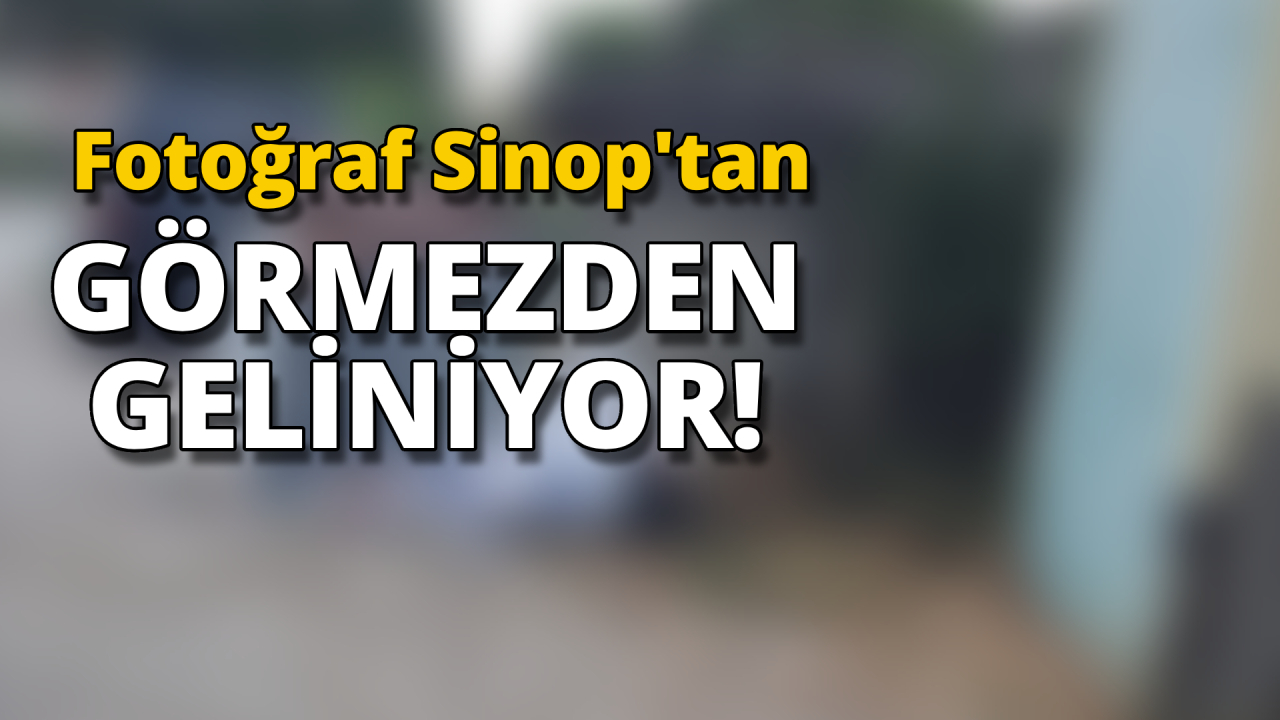 Bir zahmet el atın