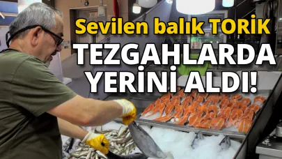 Sezonun ilk torikleri tezgahta! Peki kaç liradan satılıyor?