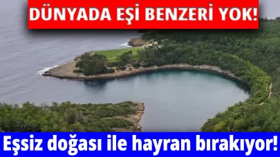 Dünyada tek örneği Sinop’ta bulunuyor!