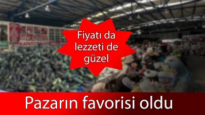 Kış için hazırlıklar başladı