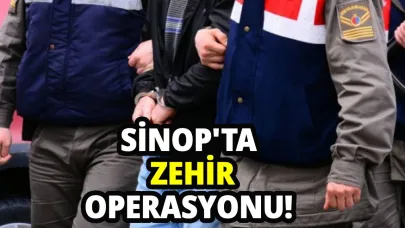 Sinop'ta zehire geçit yok!