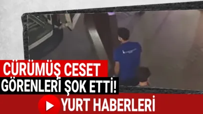 Kayıp kadın ölü bulundu