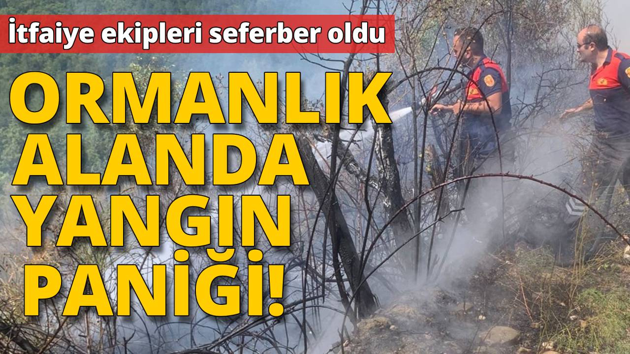 Hızlı müdahale sonuç getirdi