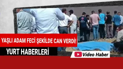 Yolun karşısına geçerken öldü