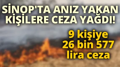 Sinop’ta anız yakan 9 kişiye ceza