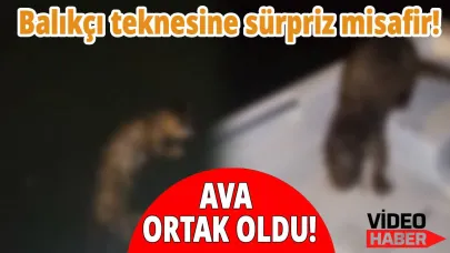 Sinop'ta balıkçılar deniz bereketini sevimli misafiriyle paylaştı