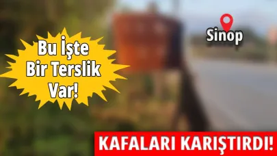 Sinop'ta ziyaretçileri şaşırtan terslik!