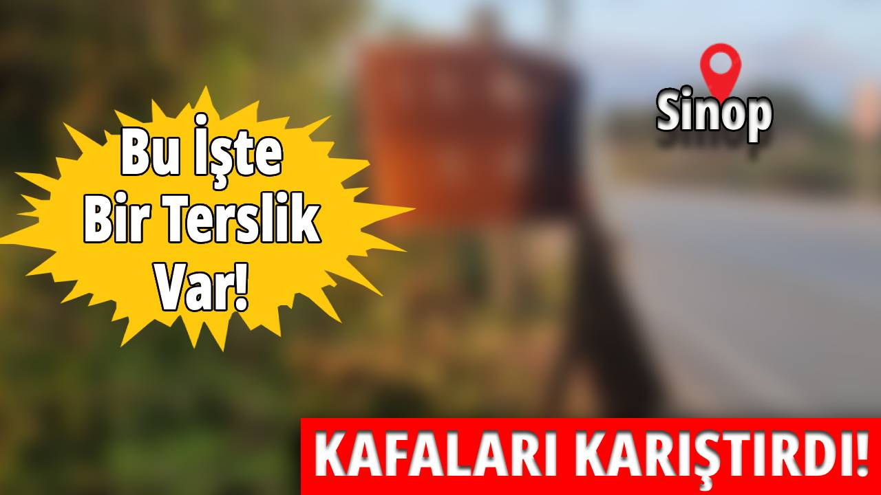 Sinop'ta ziyaretçileri şaşırtan terslik!