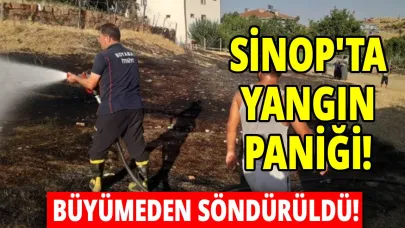 Sinop'ta ot yangını korkuttu