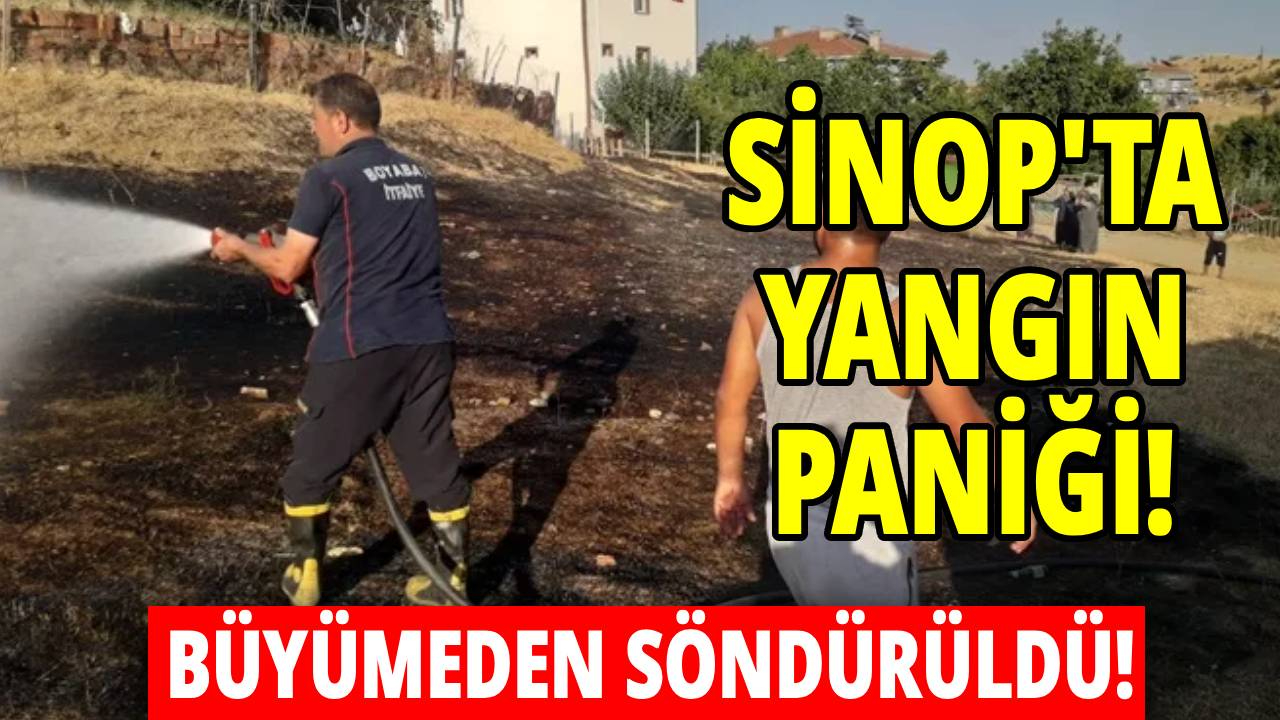 Sinop'ta ot yangını korkuttu