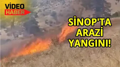 Neyse ki ormana sıçramadı!