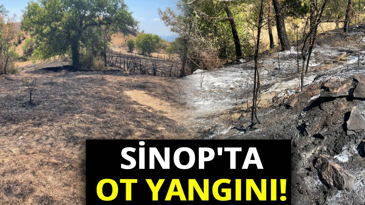 Ekiplerin hızlı müdahalesi facianın önüne geçti!