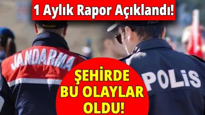 Sinop'un 1 aylık asayiş raporu açıklandı
