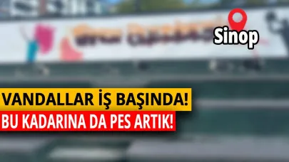 Sinop'ta Vandallar iş başında!