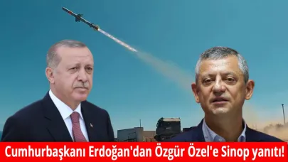 Cumhurbaşkanı Erdoğan: "Ah ah ülkem ne hallere kaldı"