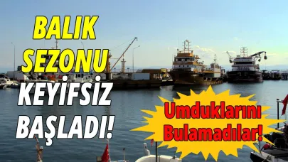 Sinop'ta balıkçılar denizden umduğunu bulamadı