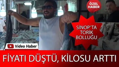 Sinop’ta Torik bereketi