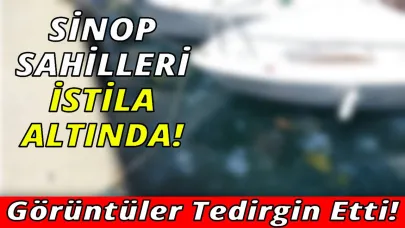 Sinop'ta tedirgin eden görüntüler!