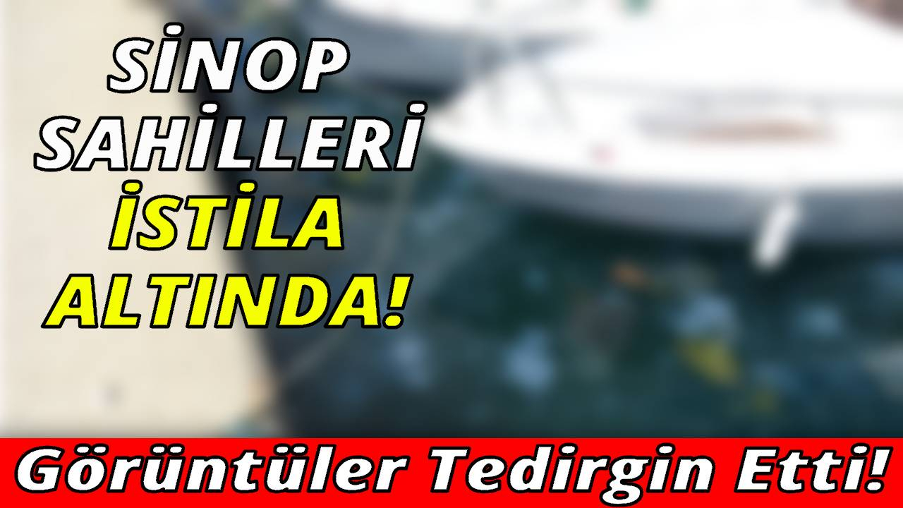 Sinop'ta tedirgin eden görüntüler!