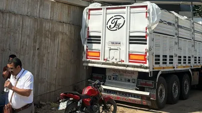 Üzüm yüklemeye geldi, yaşamını yitirdi