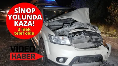 Yola çıkan hayvanlar kazaya neden oldu