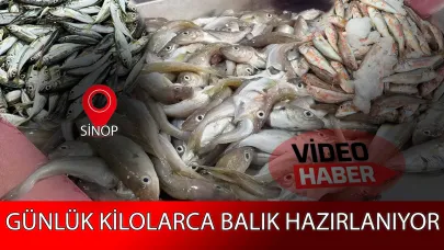 Sinop’ta denizden, sofralara balık bereketi