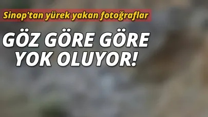 Bu umursamazlık can sıkıyor