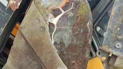 Çanakkale’de sahile ölü caretta caretta vurdu
