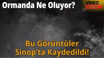 Sinop’ta kameraya takıldılar!