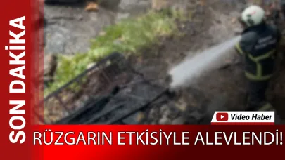 Sinop’ta yangın paniği