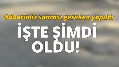 Yetkililerden anında müdahale