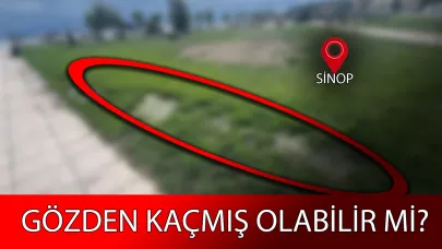 Su yosun tutmuş