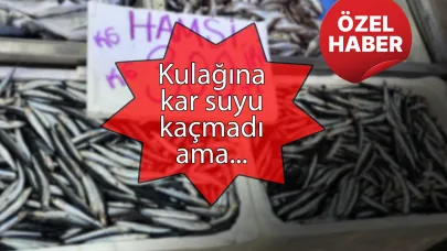 Tezgahlarda görülmeye başladı
