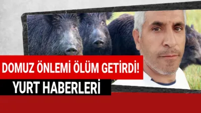 Tarlasına çektiği elektrik hattı canına mal oldu
