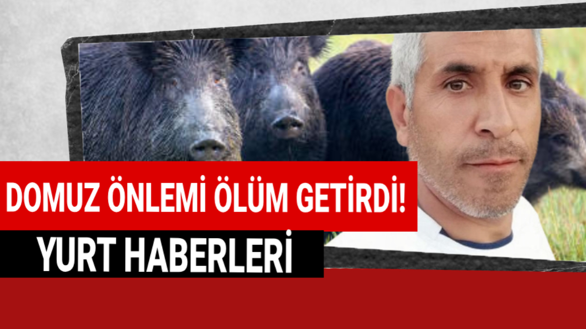 Tarlasına çektiği elektrik hattı canına mal oldu