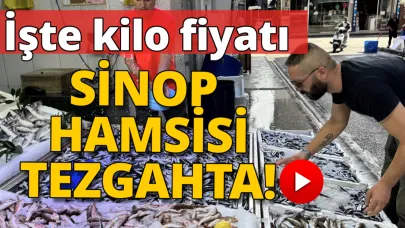 Balıkçının yüzü hamsi ile güldü