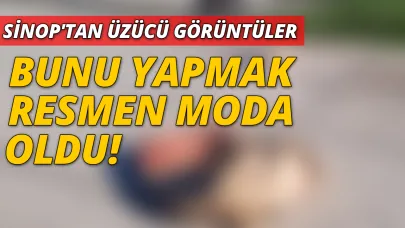 Yemesi güzel ama