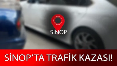 Geri geri çıkarken fark etmedi