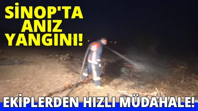 Sinop'ta çıkan anız yangını korkuttu