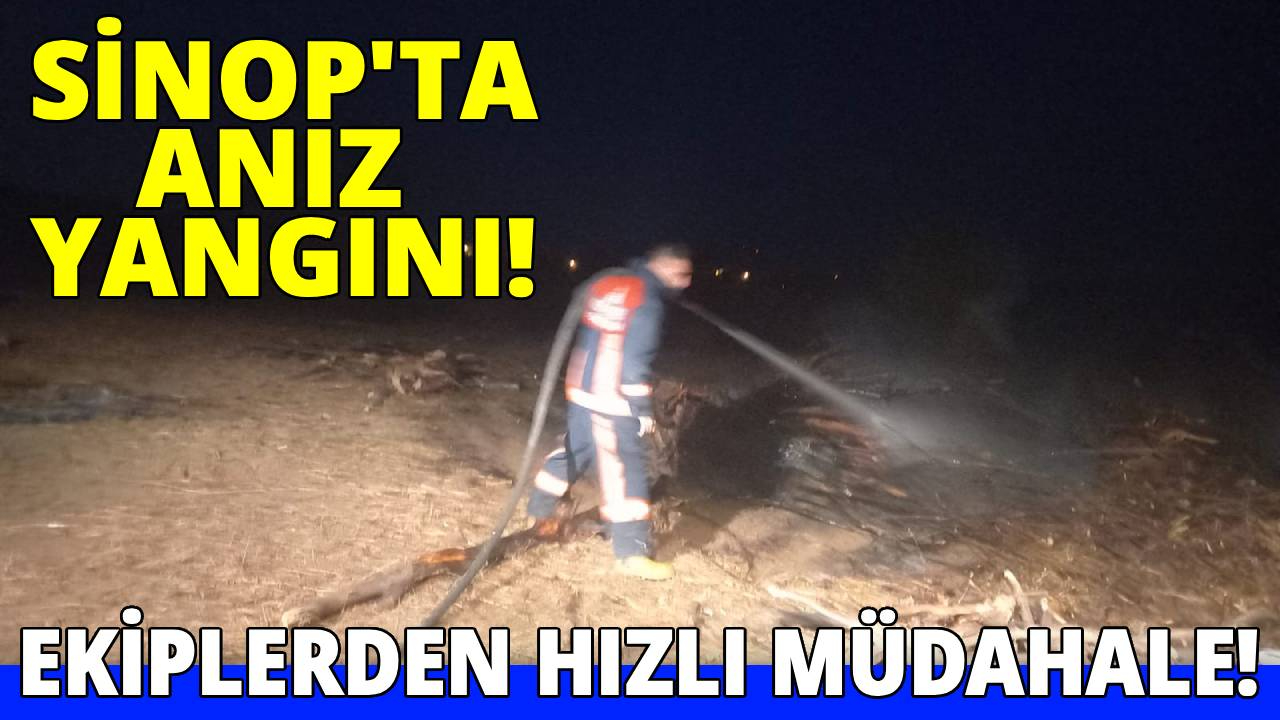Sinop'ta çıkan anız yangını korkuttu
