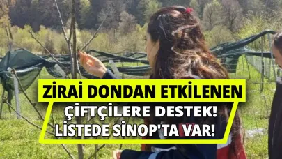 Sinop'ta zirai don mağduru çiftçilere can suyu gibi destek