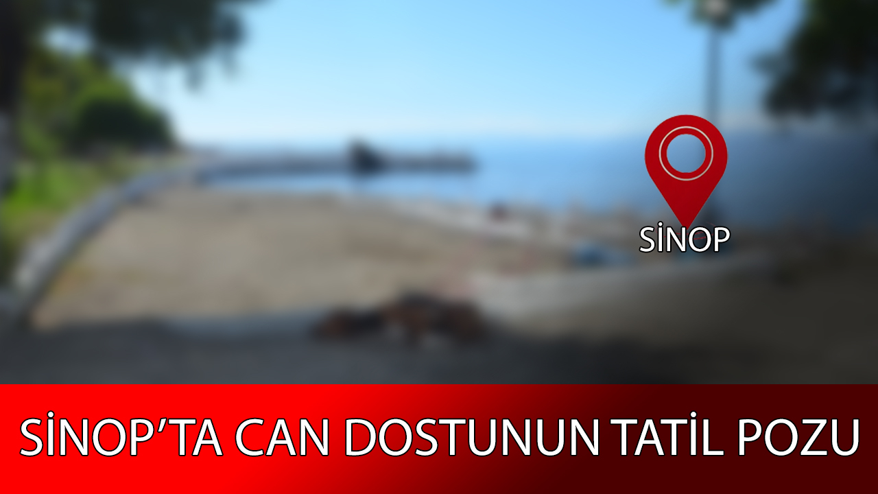 Can dostları tatilde